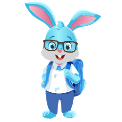 middle school bunny